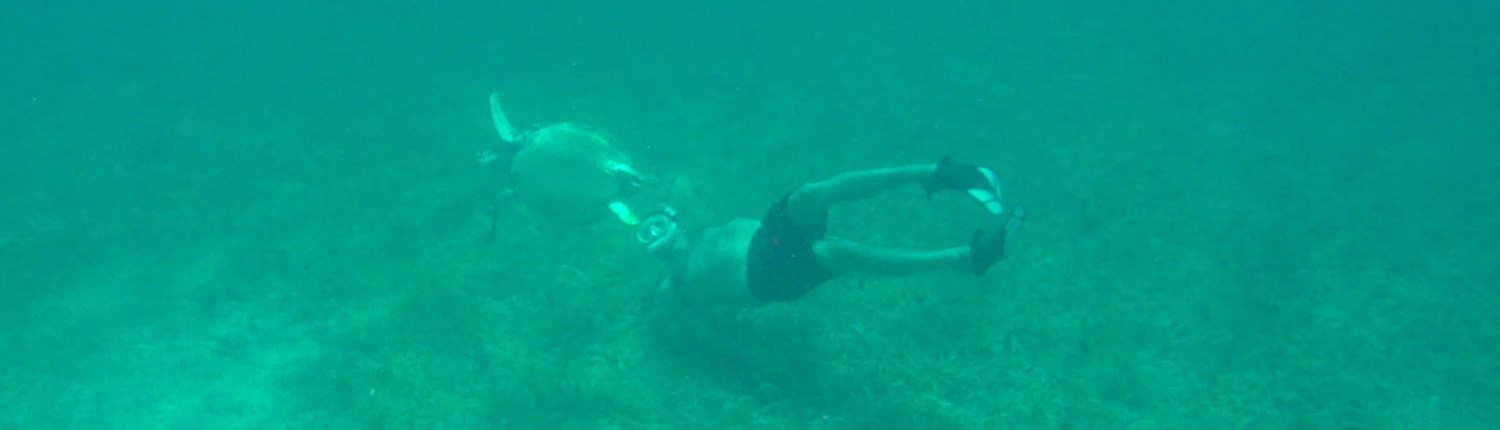 Coco Loco Guesthouse Jariel Morales swimming with Sea Turtles