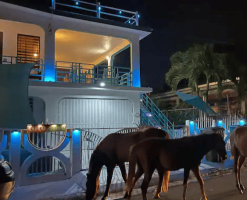 Coco Loco Units: Select Dates - Coco Loco Vieques Hotel & Guesthouse Outside