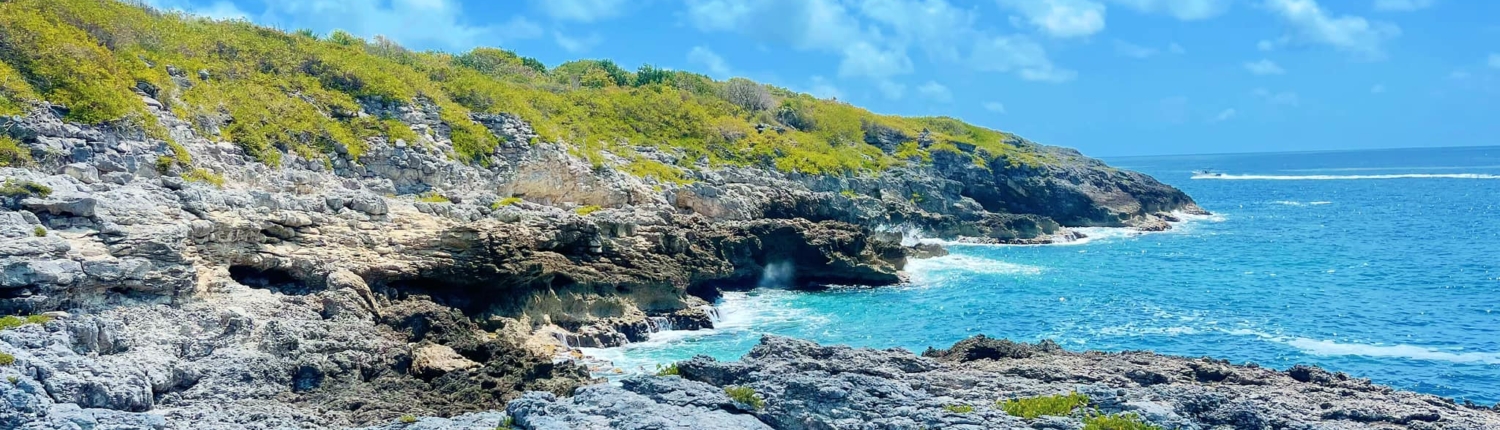 Vieques Hiking Trails